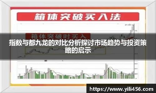 指数与都九龙的对比分析探讨市场趋势与投资策略的启示
